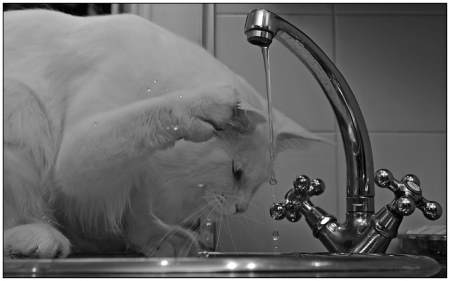 Single Hole Pillar Mixer Tap