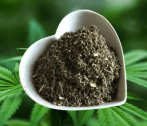 leaf and bud catnip