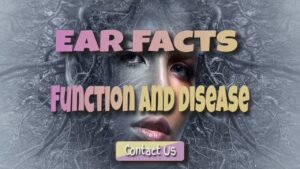 ear facts