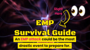 emp survival