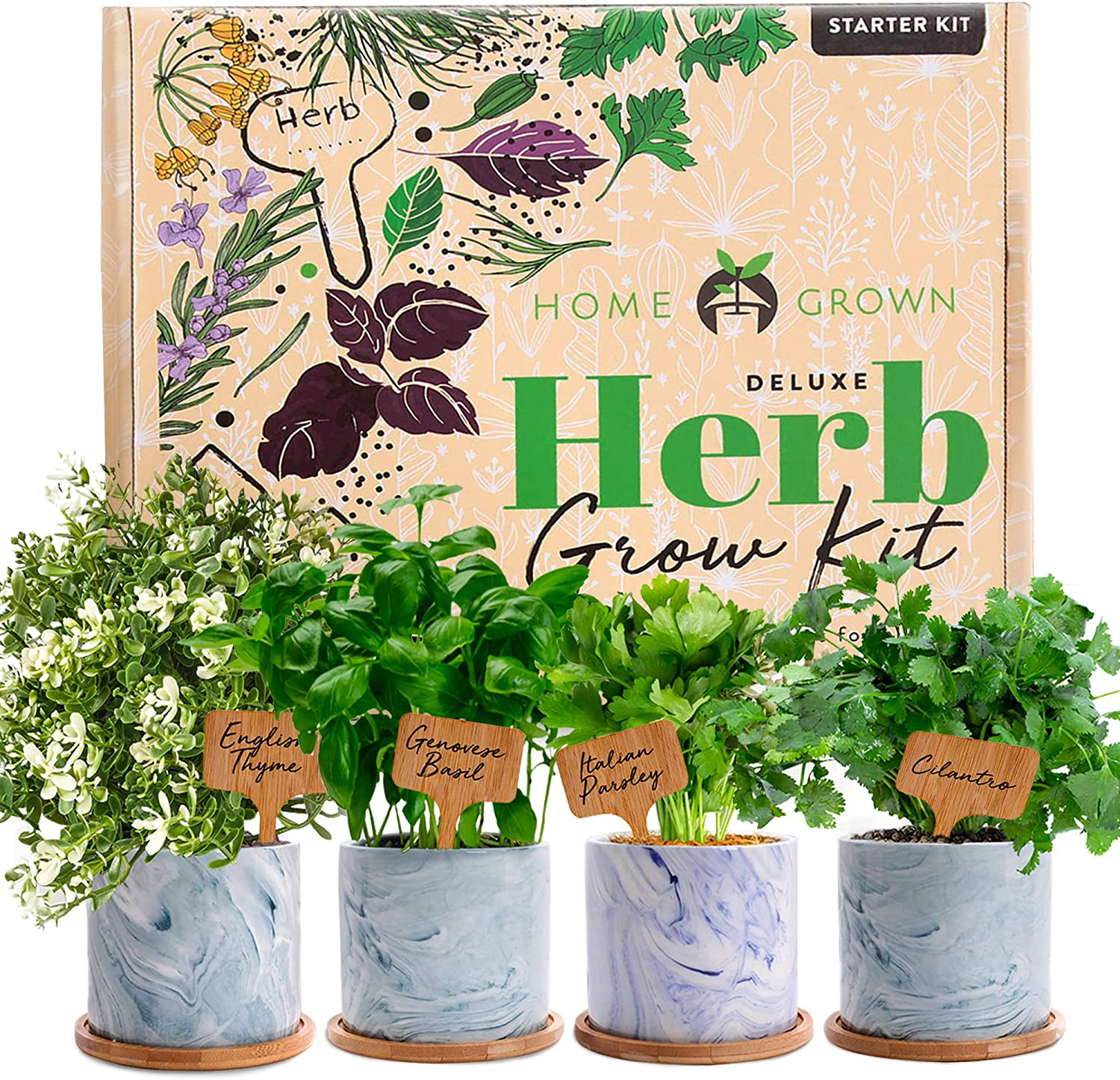 deluxe indoor herb kit