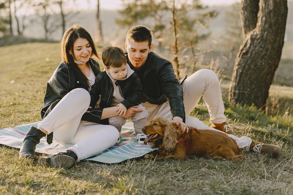 Is dog ownership a way to fight Chron's Disease?