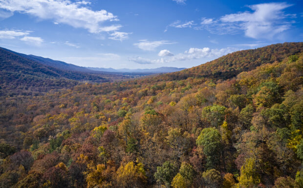 Aerial photograph of fall colors in the George Washington National Forest, Hunt Valley, Virginia. Autumn 2020