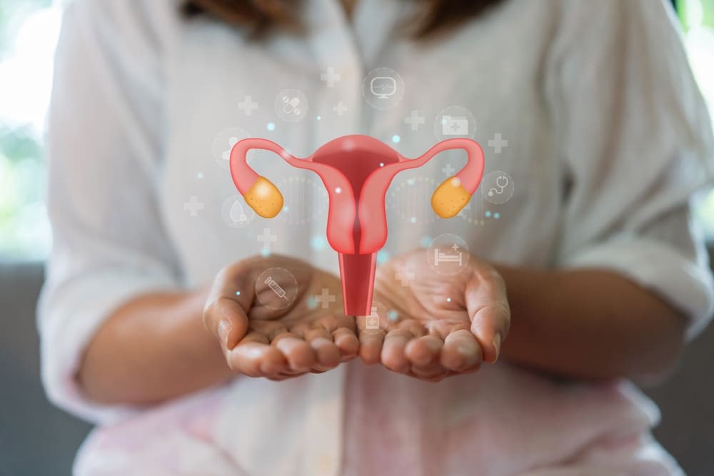 Woman Holding Uterus ,
