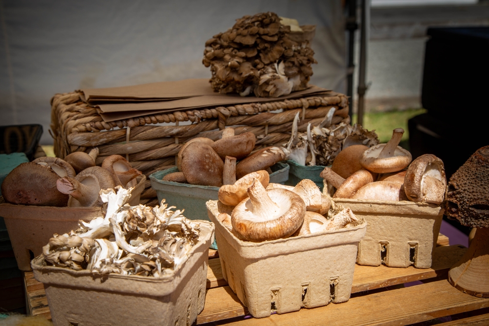 Mushroom,Varieties,In,Produce,Stand,At,Trout,Lake,Farmer's,Market